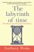 The Labyrinth of Time : The Illusion of Past, Present and Future