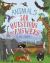 Animals: 500 Questions and Answers Animals: 500 Questions and Answers