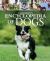Children's Encyclopedia of Dogs
