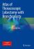 Atlas of Thoracoscopic Lobectomy with Bronchoplasty