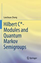 Hilbert C*- Modules and Quantum Markov Semigroups