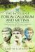 The Battles of Forum Gallorum and Mutina, 43 BC : Caesar, Antony and the Next Generation of the Third Roman Civil War
