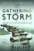 Battle of Britain the Gathering Storm : Prelude to the Spitfire Summer Of 1940