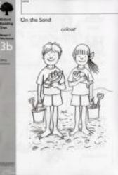 On the Sand : Workbooks Class Pack 3B