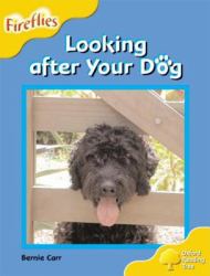 Looking After your Dog