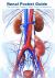 Renal Pocket Guide : Bite-Sized Facts, Diagrams, Tables, Photos, and Algorithms