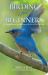 Birding for Beginners : A Comprehensive Introduction to the Art of Birdwatching