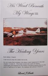 His Wind Beneath My Wings : The Healing Years
