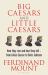 Big Caesars and Little Caesars : How They Rise and How They Fall - from Julius Caesar to Boris Johnson