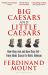Big Caesars and Little Caesars : How They Rise and How They Fall - from Julius Caesar to Boris Johnson