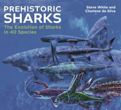 Prehistoric Sharks : The Evolution of Sharks in 40 Species