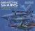 Prehistoric Sharks : The Evolution of Sharks in 40 Species