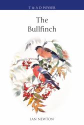The Bullfinch