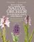 How to Grow Native Orchids in Gardens Large and Small : The Comprehensive Guide to Cultivating Local Species