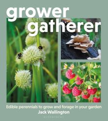 Grower Gatherer : Edible Perennials to Grow and Forage in Your Garden