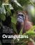 Orangutans : Geographic Variation in Behavioral Ecology and Conservation