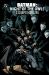 Batman: the Night of the Owls Compendium Batman: the Night of the Owls Compendium