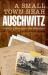 A Small Town near Auschwitz : Ordinary Nazis and the Holocaust