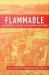 Flammable: Environmental Suffering in an Argentine Shantytown