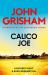 Calico Joe : An Unforgettable Novel about Childhood, Family, Conflict and Guilt, and Forgiveness