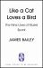 Like a Cat Loves a Bird : The Nine Lives of Muriel Spark