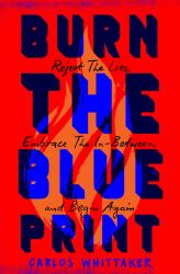 Burn the Blueprint : Reject the Lies, Embrace the in-Between, and Begin Again