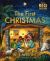 The First Christmas : The Bible's Nativity Story