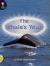 Lighthouse Yr1/P2 Green : Whales Year (6 Pack)
