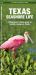 Texas Seashore Life : A Folding Guide to Familiar Animals and Plants