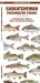 Saskatchewan Freshwater Fishes, 3rd Ed