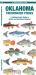Oklahoma Freshwater Fishes