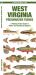 West Virginia Freshwater Fishes
