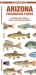 Arizona Freshwater Fishes : A Folding Pocket Guide to Native and Introduced Species