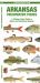 Arkansas Freshwater Fishes : A Folding Pocket Guide to Native and Introduced Species