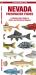Nevada Freshwater Fishes : A Folding Pocket Guide to Native and Introduced Species