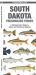 South Dakota Freshwater Fishes : A Folding Pocket Guide to Native and Introduced Species