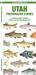 Utah Freshwater Fishes : A Folding Pocket Guide to Native and Introduced Species
