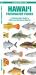 Hawai'i Freshwater Fishes : A Folding Pocket Guide to Native and Introduced Species