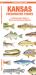 Kansas Freshwater Fishes : A Folding Pocket Guide to Native and Introduced Species