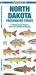 North Dakota Freshwater Fishes : A Folding Pocket Guide to Native and Introduced Species