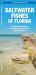 Saltwater Fishes of Florida : A Guide to Species in Nearshore Waters of the Sunshine State