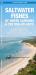 Saltwater Fishes of North Carolina and the Mid-Atlantic : A Guide to Species in Nearshore Waters from Delaware to North Carolina and Cape Hatteras