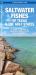 Saltwater Fishes of Texas and the Gulf States : A Guide to Species in Nearshore Waters from Texas to Alabama