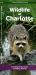 Wildlife of Charlotte : A Folding Pocket Guide to Familiar Animals