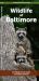 Wildlife of Baltimore : A Folding Pocket Guide to Familiar Animals