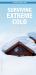 Surviving Extreme Cold : What to Do Before, During, and after Disaster Strikes