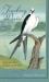 Tracking Desire : A Journey after Swallow-Tailed Kites