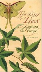 Teaching the Trees : Lessons from the Forest