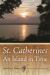 St. Catherines : An Island in Time