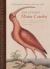 The Curious Mister Catesby : A Truly Ingenious Naturalist Explores New Worlds The Curious Mister Catesby : A Truly Ingenious Naturalist Explores New Worlds
